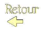 *☆*:;;;;;;:*☆* Organisation *☆*:;;;;;:*☆*