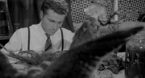 Le froid baiser de la mort, Il terzo occhio, Mino Guerrini, 1966