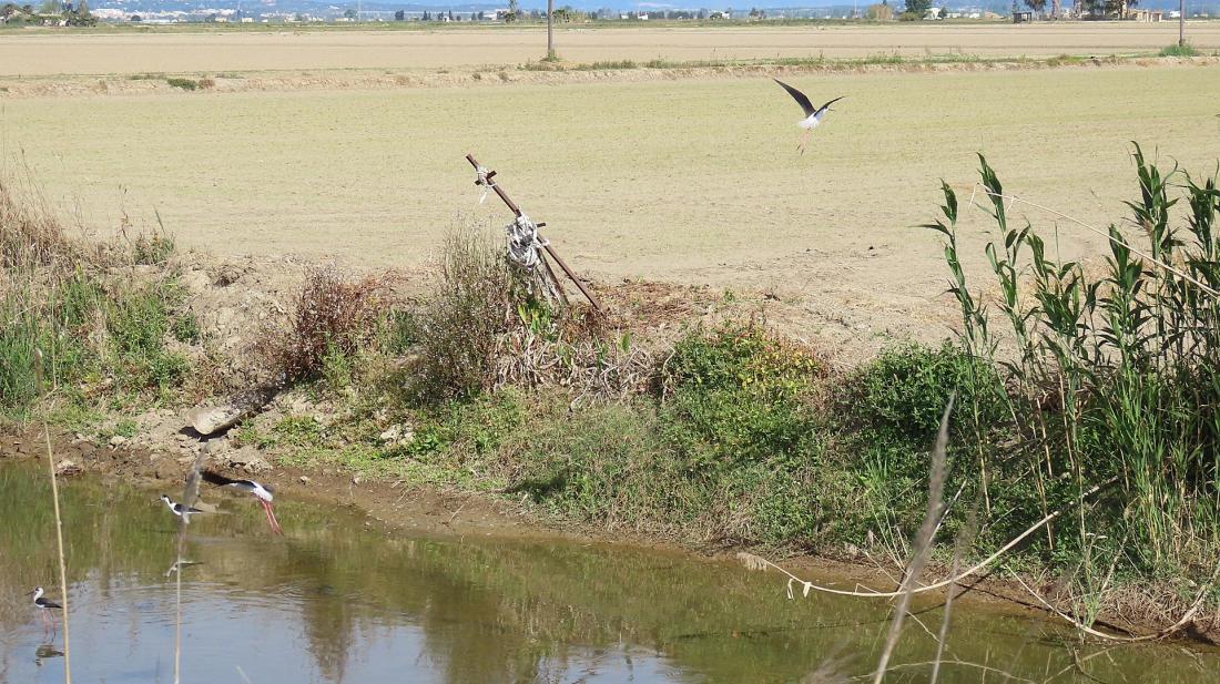 le parc naturel de l'Ebre