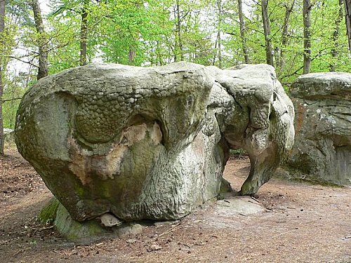 LES ROCHERS ELEPHANT