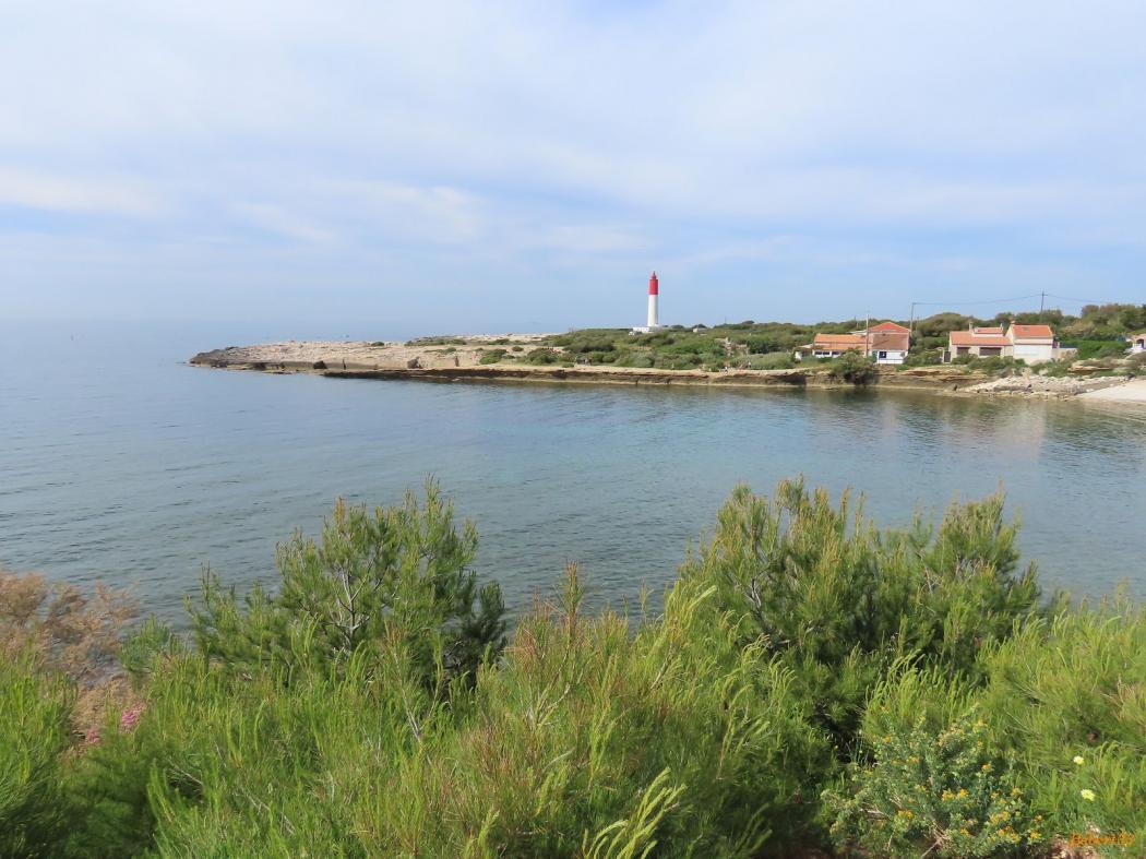 le port de Carro - 3