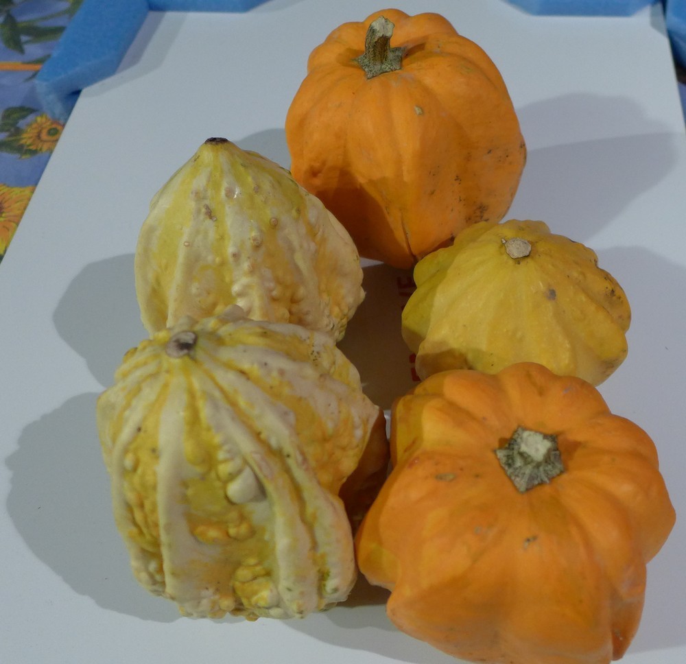 Un joli cadeau et une carte de voeux dans ma boite aux lettres...