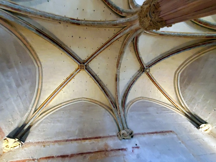 Voûtes de la chambre