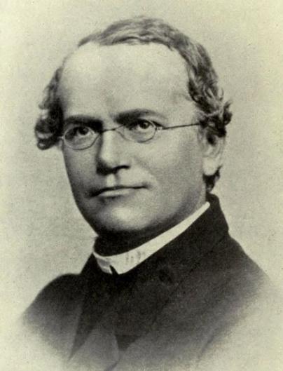 De la Génétique des populations