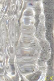 Eau, arbres et rochers émanants de l'été