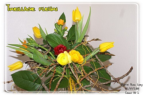 03 02 03 10 treillage fleuri (3)