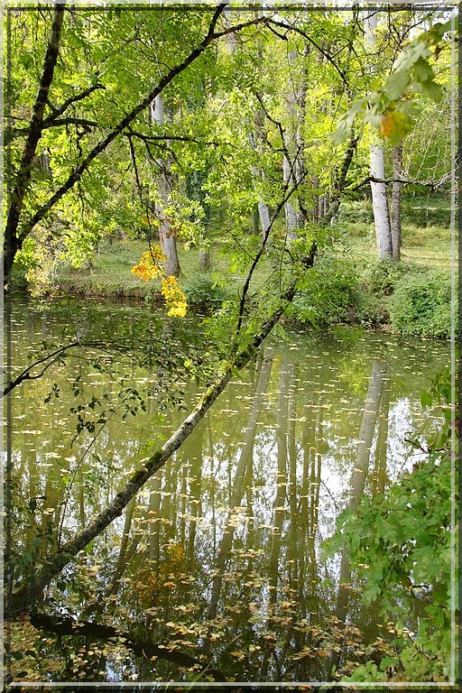 964 - Virée dans le Tarn et Garonne et plus - Au pied de Najac (12) !