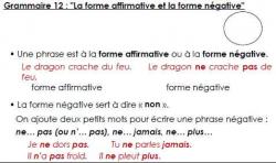 Les leçons Etude de la langue CE1 période 5