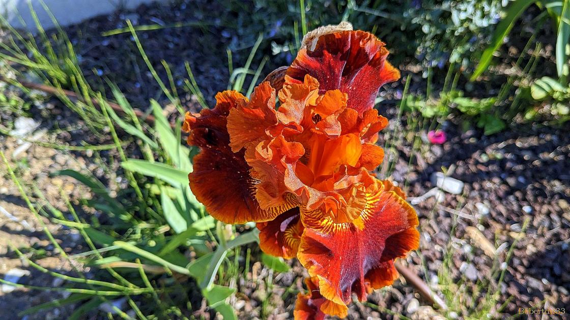 Suite pour aller à Hyères  -2