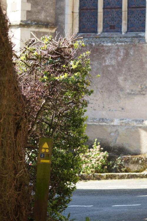 Saint Aubin de Luigné (fin du circuit)