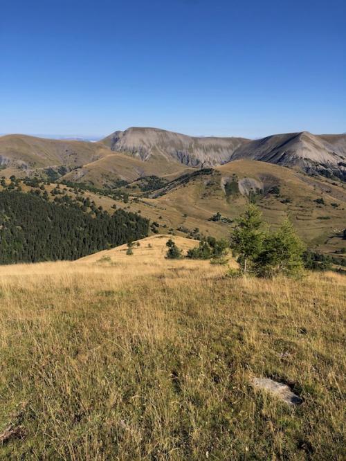 Clôt de Bouc (Selonnet)