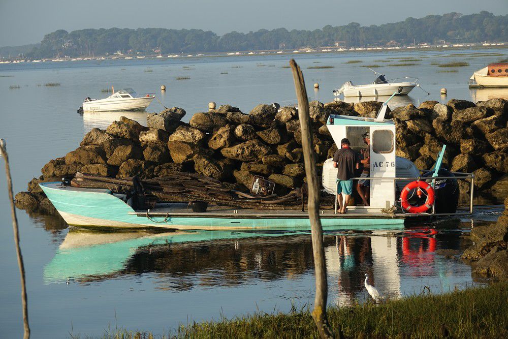 Départ de chalands de parqueurs au matin...