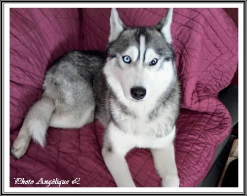 Jeska (19 mois)