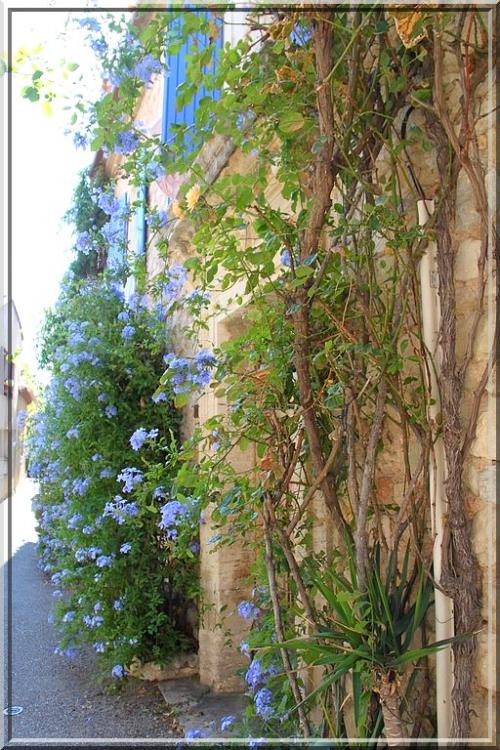 1011 - Le Barroux dans le Vaucluse (84)