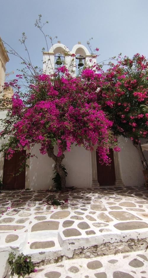 PAROS en couleurs !