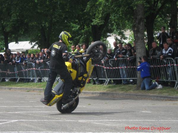 Le rallye du cochon est passé à Châtillon sur Seine