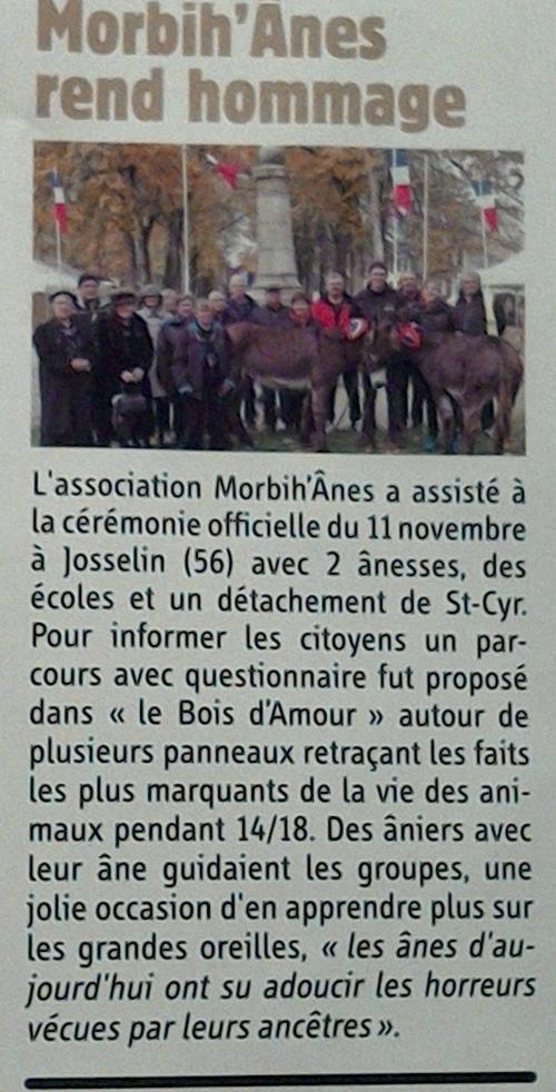 - Sorties et randonnées "Morbih'ânes" 2018