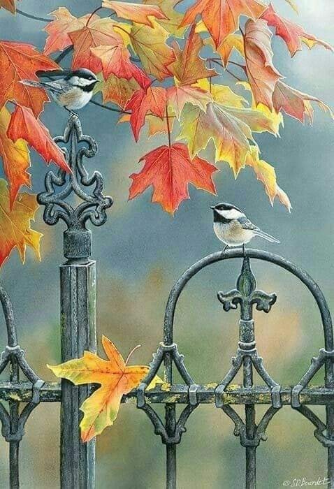 Les visiteurs au jardin ...