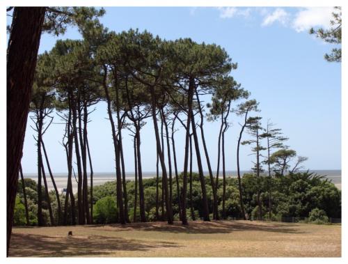 pierre attelée st Brévin