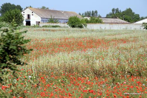 Lundi 10 au jeudi 13.06 + Bonus