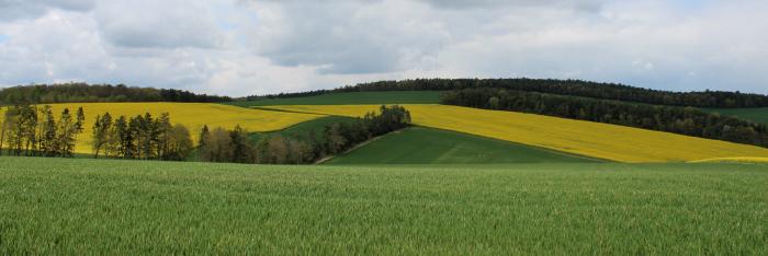 Département de la Côte d'Or