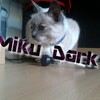 Miku Dark