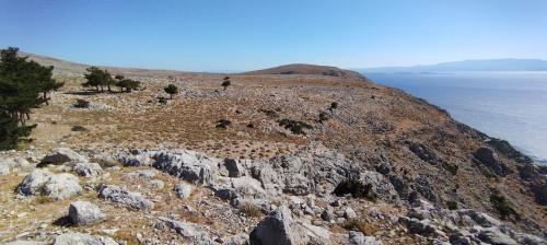 Les chemins de traverse 1/2