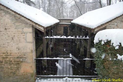 Le Comité d'aide aux personnes âgées de Châtillon sur Seine