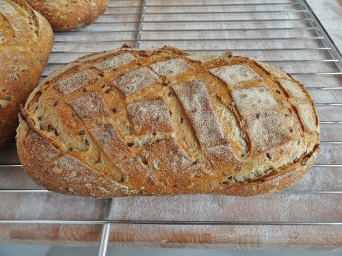 Bientôt l'ouverture d'une boulangerie artisanale à Montliot...
