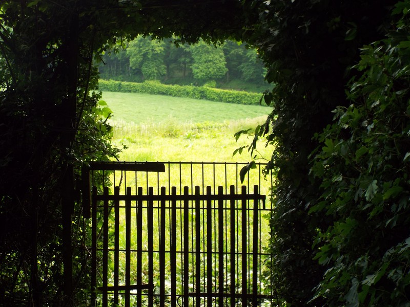 Jardin en Flandres ...