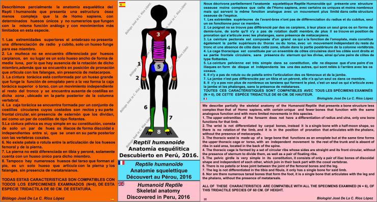 ALIEN PROJECT - Les momies du Pérou/5