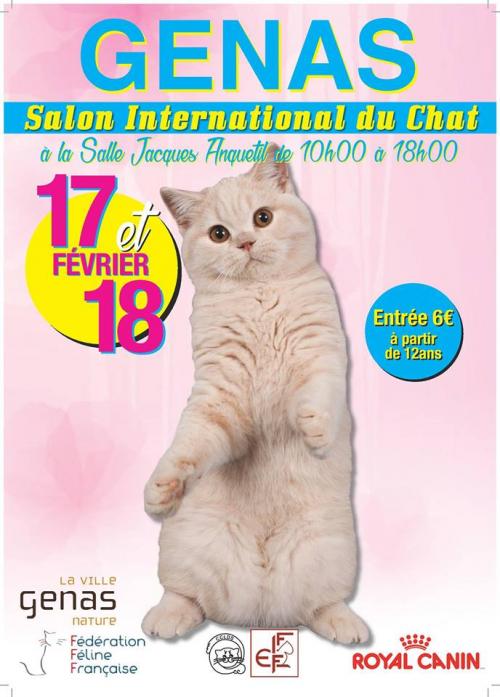 Expositions de Février : 