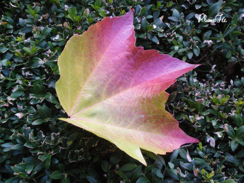Image011.jpg