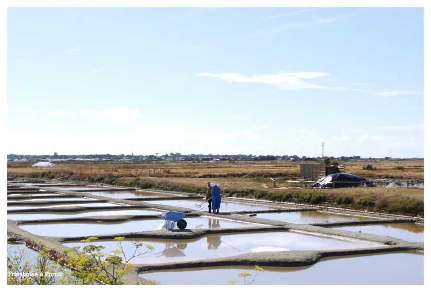 Noirmoutier c'est la fin de l'été