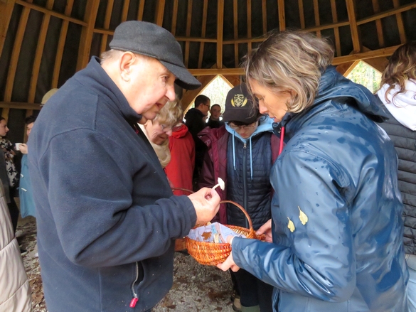 La Société Mycologique et le CSCL a organisé  une sortie découverte sur les  champignons le 16 novembre