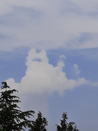 Yves P.‏ - les émanants