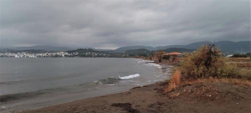 On n'a jamais été aussi près d'la fin !