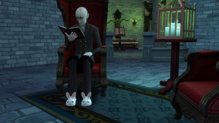 Semaine 2 - Quartier Forgotten Hollow - Foyer Straud