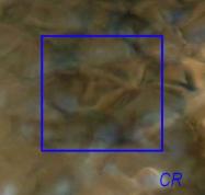 Rubrique Photos exceptinnelles d'Emanants : Les EMANANTS DES ETRES DE LA NATURE