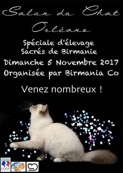 Expo de novembre :