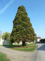 La randonnée du 26 mars à Argences