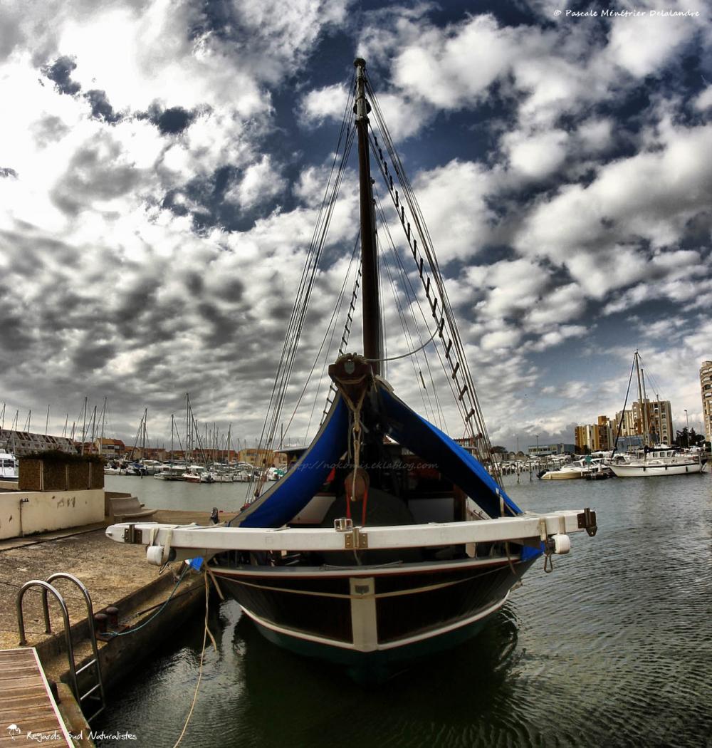 Port de Carnon
