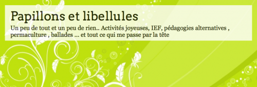 Blogs de familles IEF: Papillons et libellules