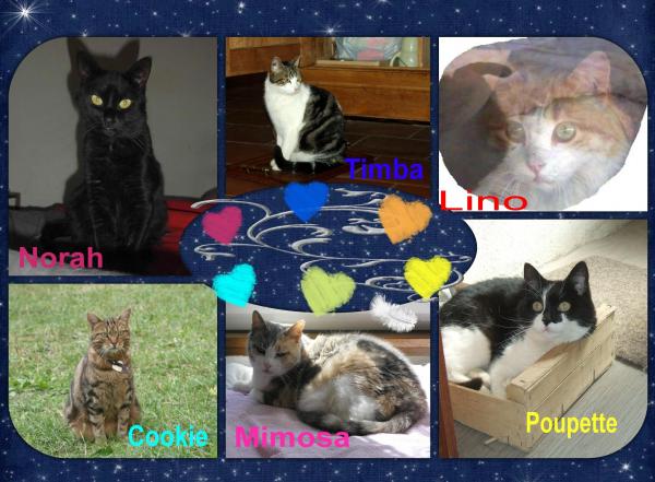 Poupette, Norah, Lino,Timba, Mimosa, Cookie