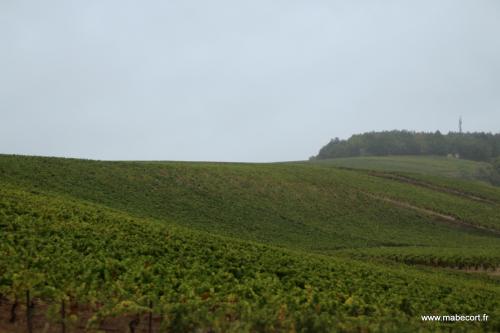 Lundi 21 au Dimanche 27.09 + Bonus