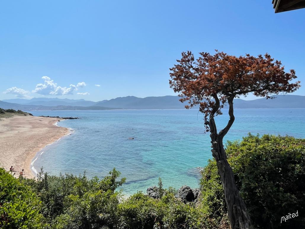 Olmeto plage(s) - Corse