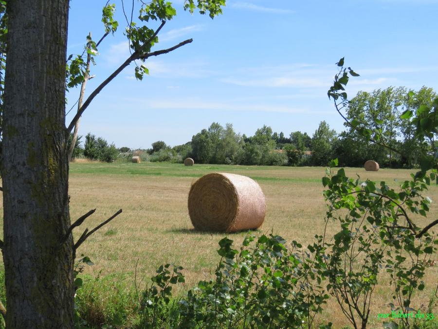 Sallertaine en Vendée 