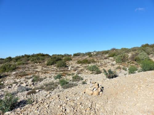 Les Pierres gravées