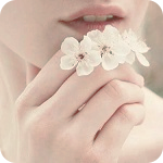 29771ca4c1d8cecd6cd44812731c7bc6 (150x150, 38 Ko)