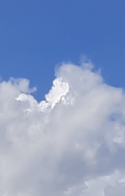 Yves P. - les émanants